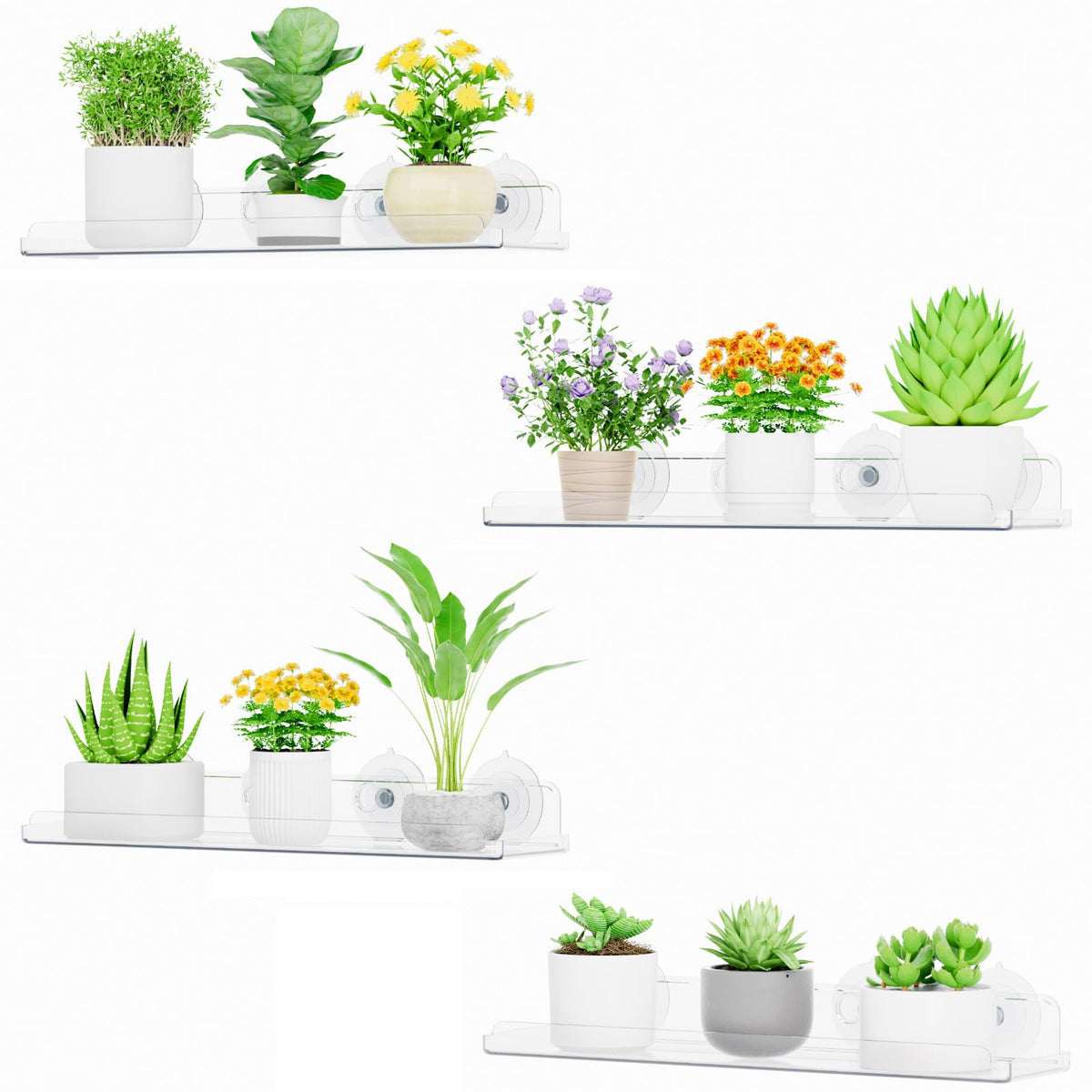 Lifewit Window Plant Shelves 14.6", 2 Pack Acrylic Suction Cup Holder