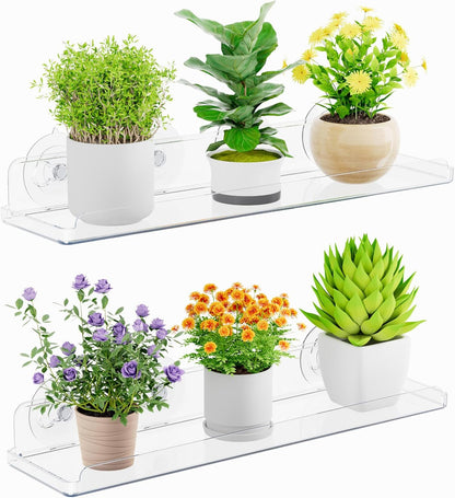 Lifewit Window Plant Shelves 14.6", 2 Pack Acrylic Suction Cup Holder