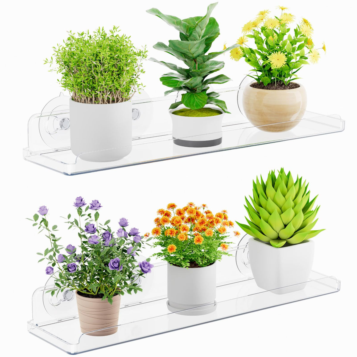 Lifewit Window Plant Shelves 14.6", 2 Pack Acrylic Suction Cup Holder