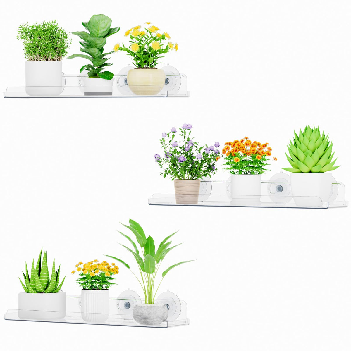 Lifewit Window Plant Shelves 14.6", 2 Pack Acrylic Suction Cup Holder
